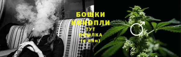 дурь Верея
